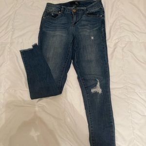 1822 Denim Distressed Skinny